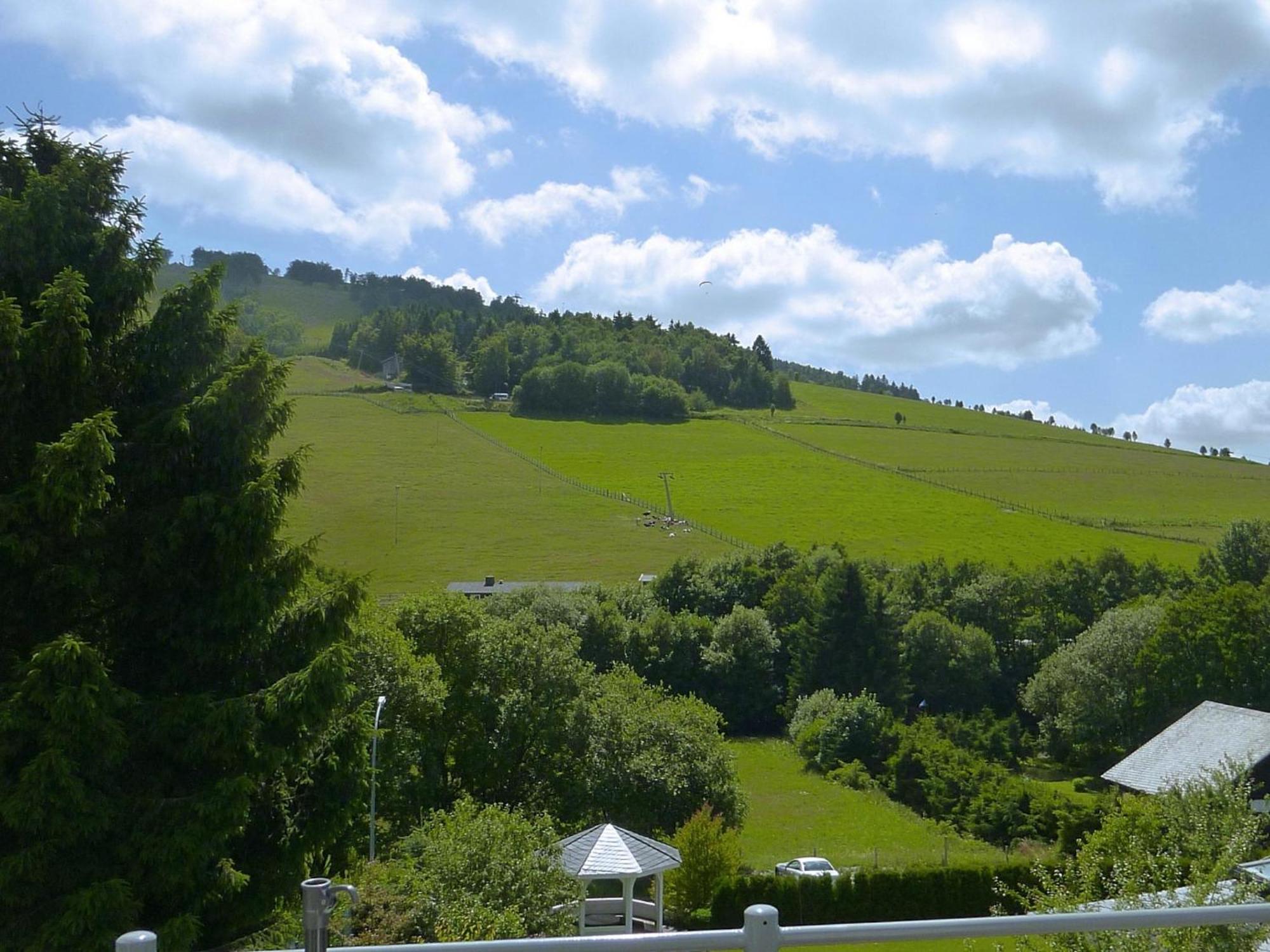 Modern Apartment In Willingen Near Ski Lift Willingen (Upland) Exterior foto